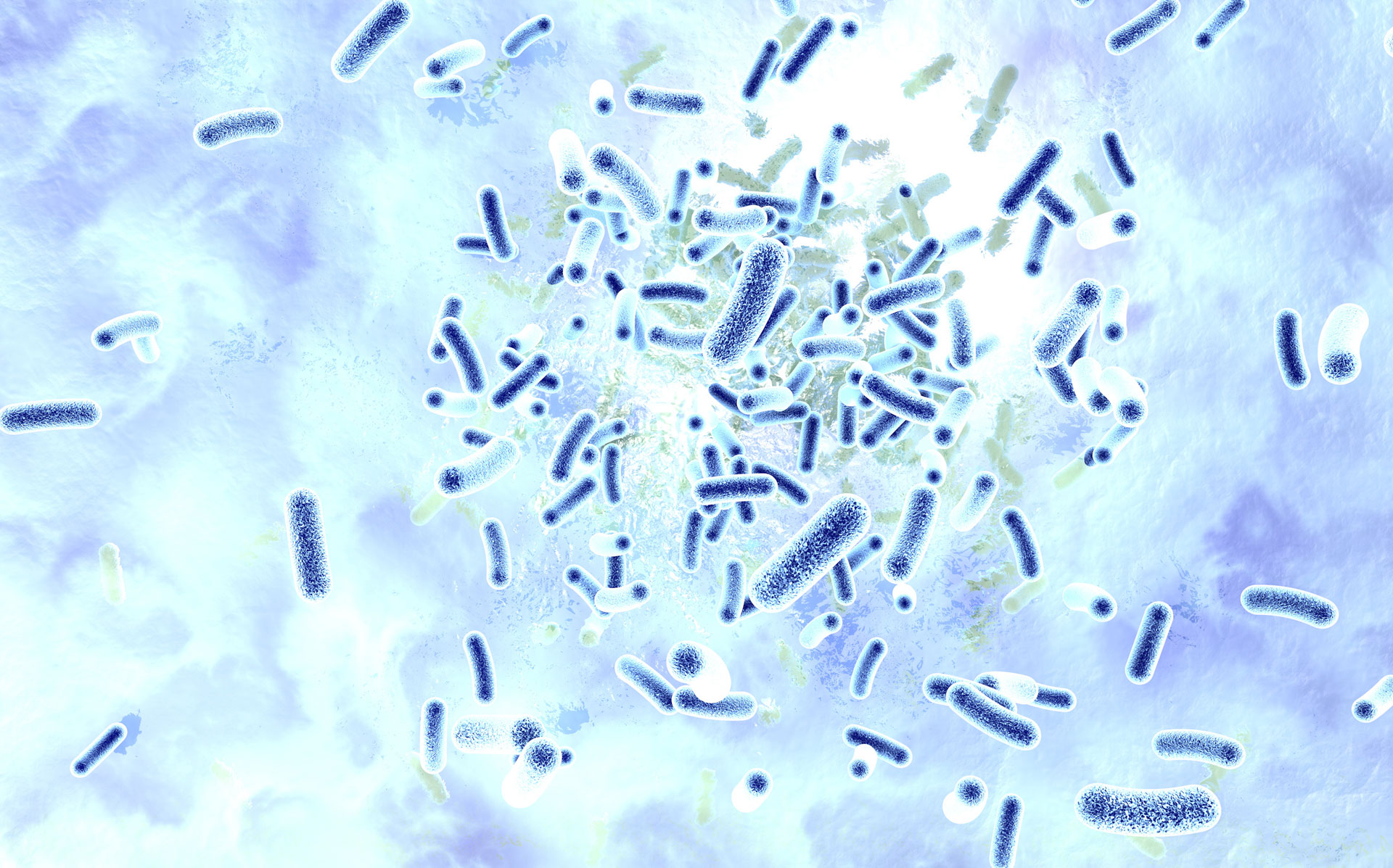 Bakteriologie - Spezielle Untersuchungen zum Nachweis von Bakterieninfektionen