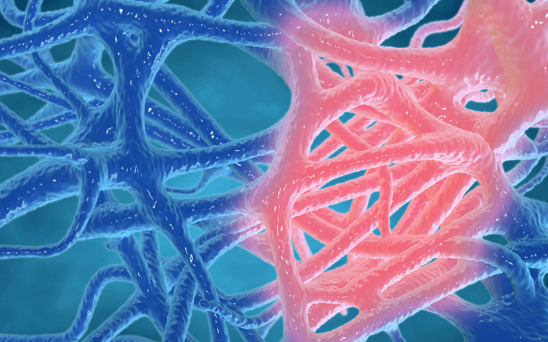 Entzündungsdiagnostik - Physiologische Schutzreaktion des menschlichen Organismus