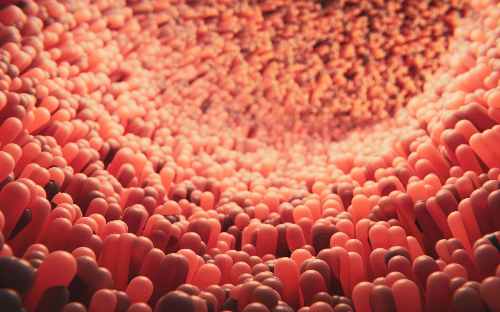 Intestinales Mikrobiom