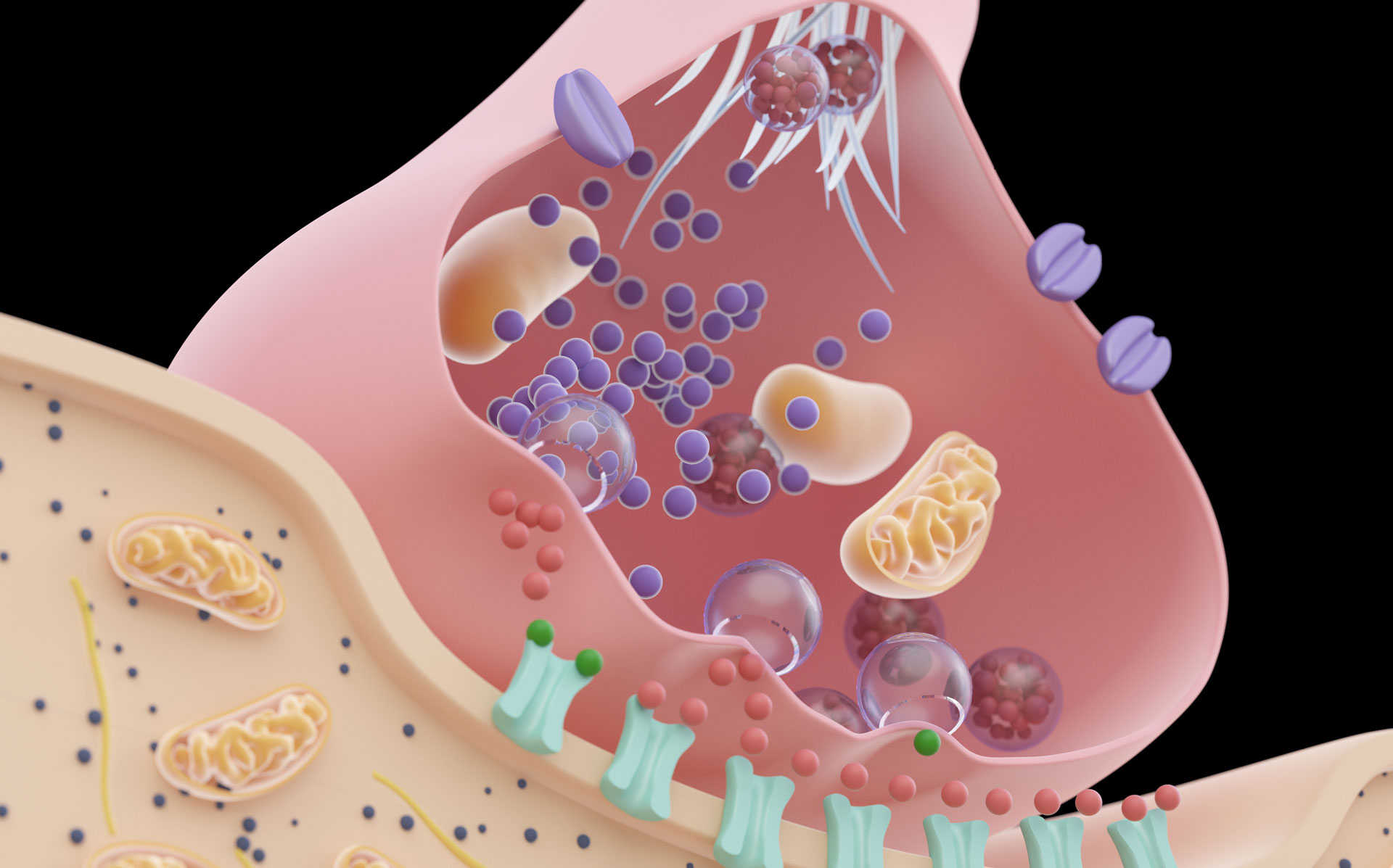 Glutamin, Glutamat, GABA und Glycin