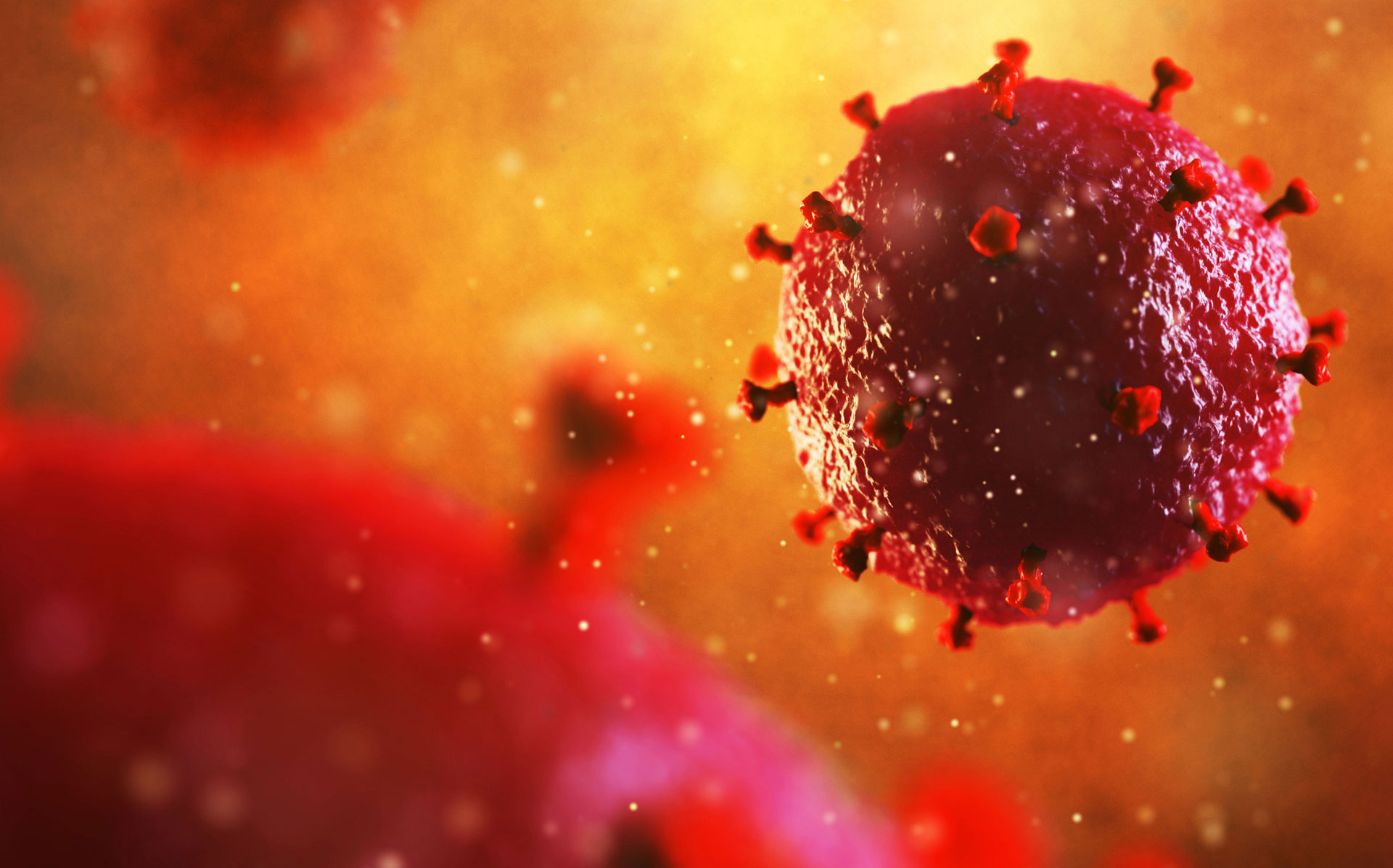 Sexuell übertragbare Erkrankungen (STD)