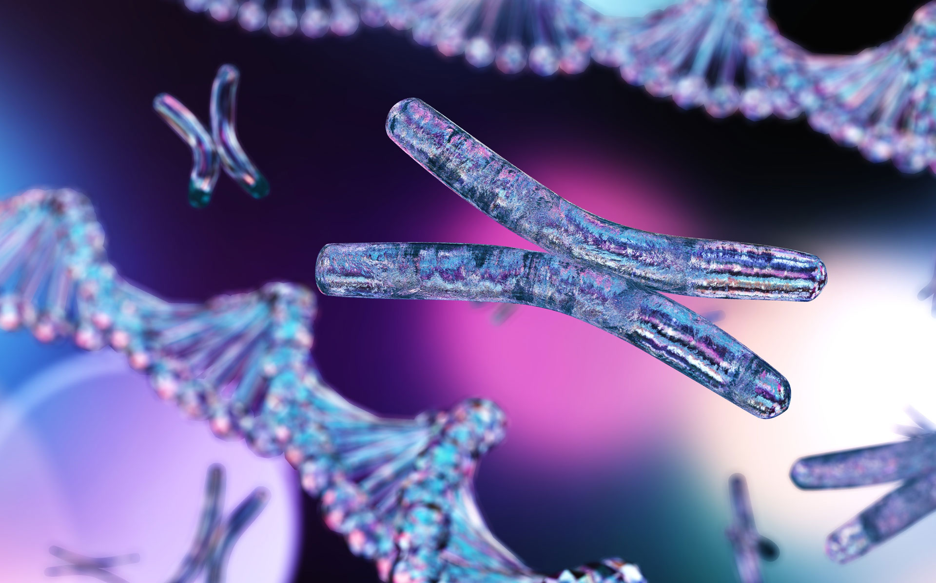 Telomerdiagnostik - Bestimmung des biologischen Alters