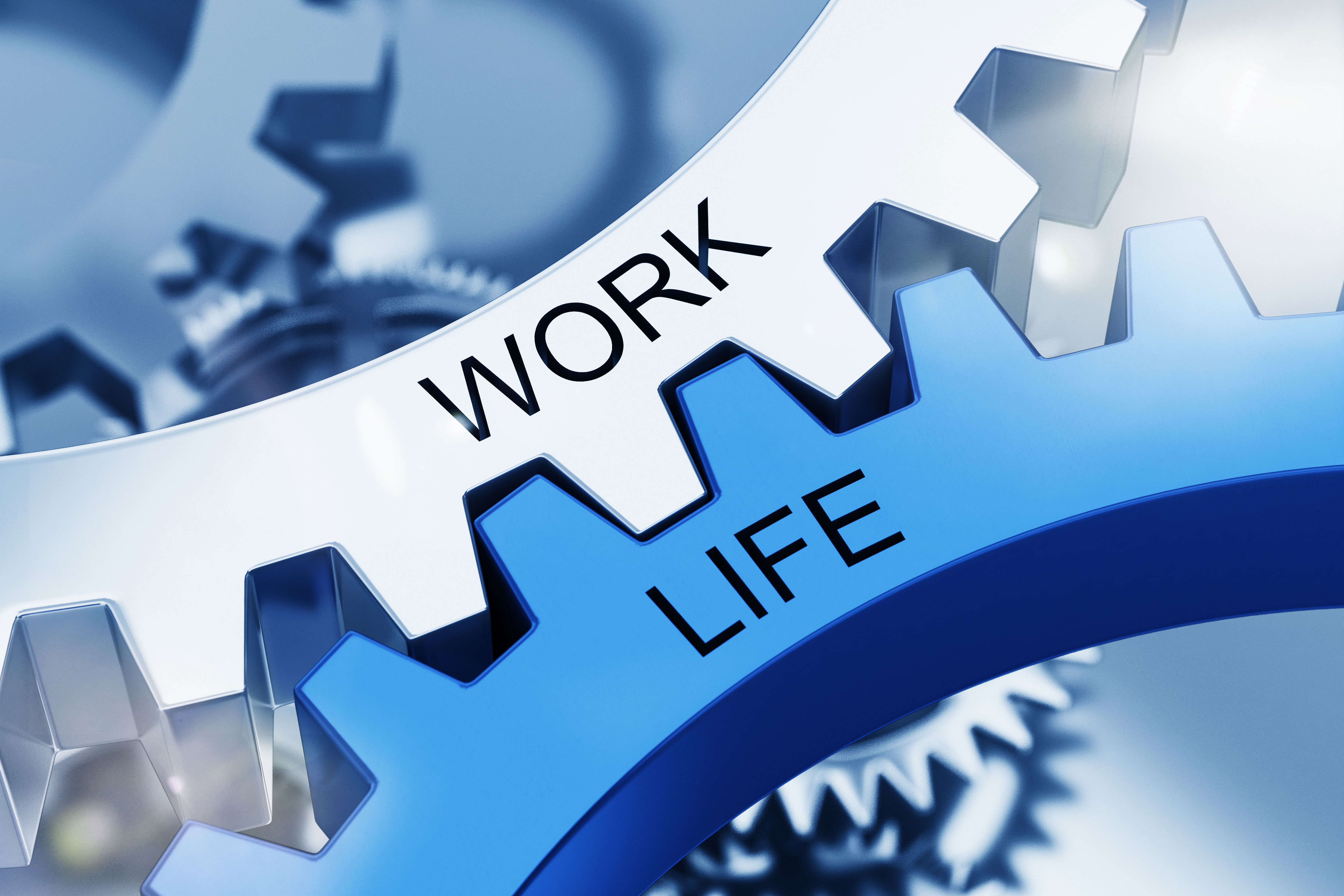 Stellenangebote: was wir Ihnen bieten