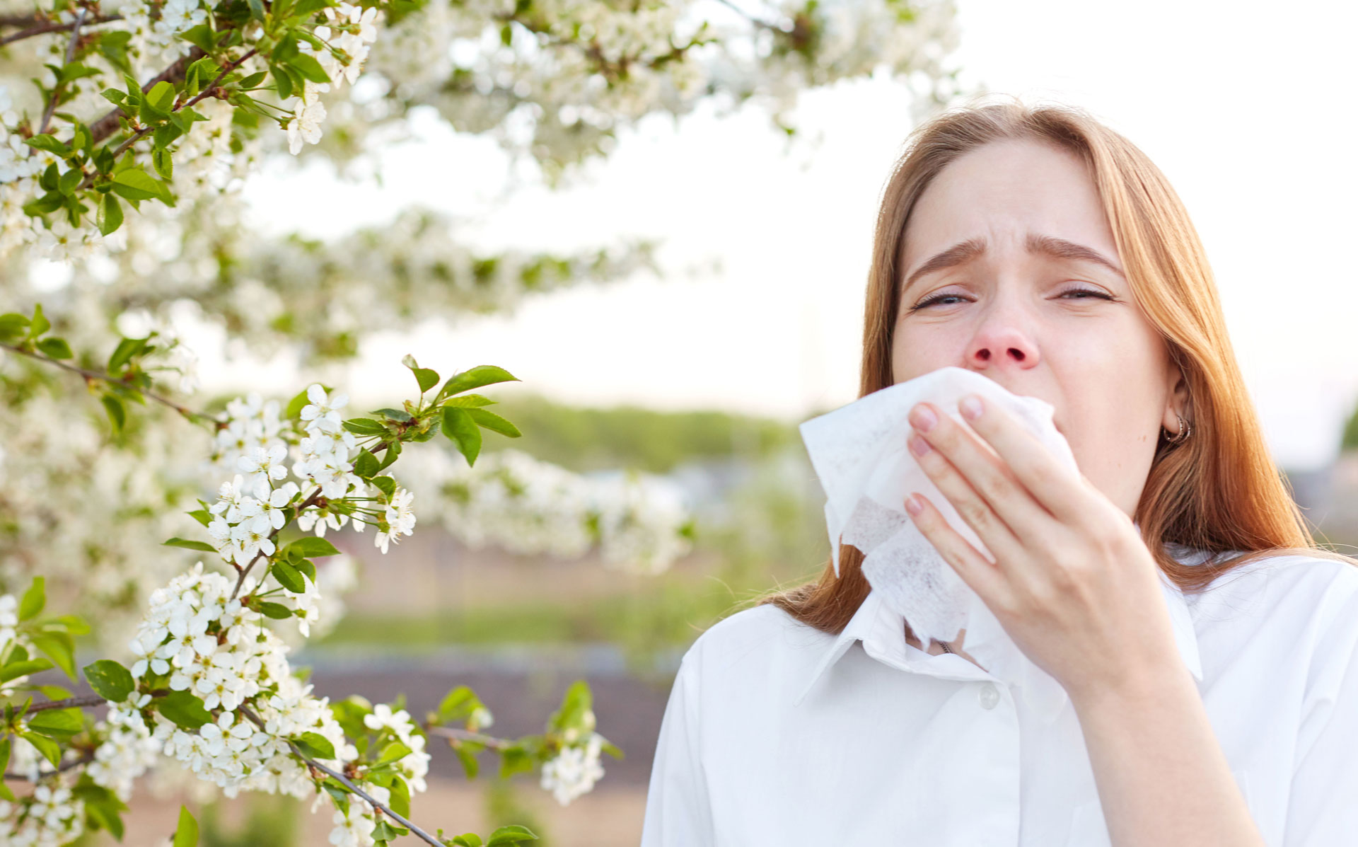 Zelluläre Immundiagnostik Allergologie