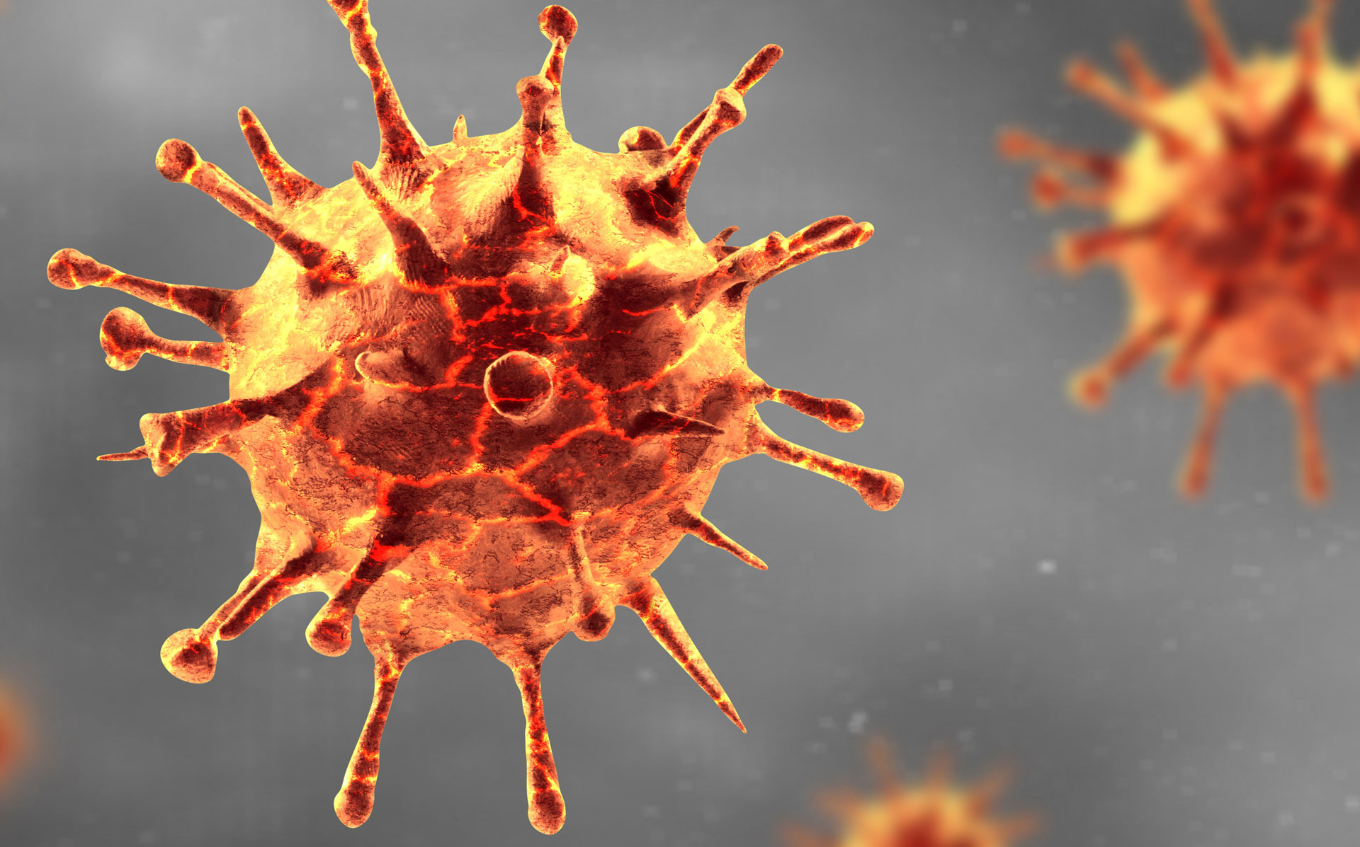 Zelluläre Immundiagnostik Infektiologie